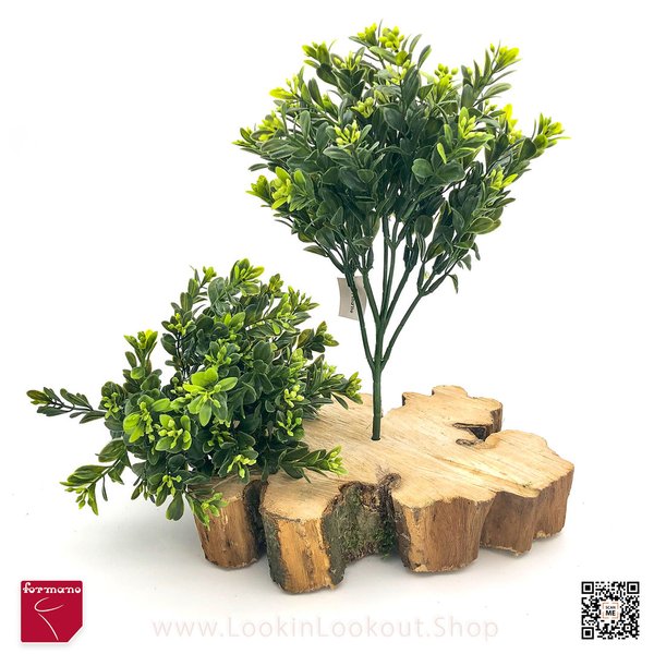 Dekozweig » Buchsbaum « 30cm grün