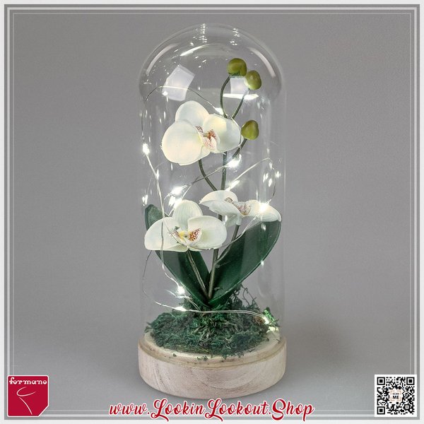 Deko-Licht » Orchidee « Creme mit LED 22cm